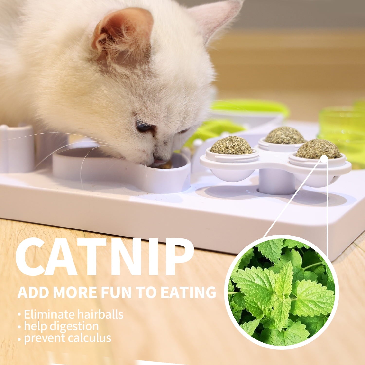 Cat Enrichment: What to Do if Your Cat Is Bored Cat Enrichment: What to Do if Your Cat Is Bored
